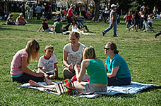 Cherry Blossom survey